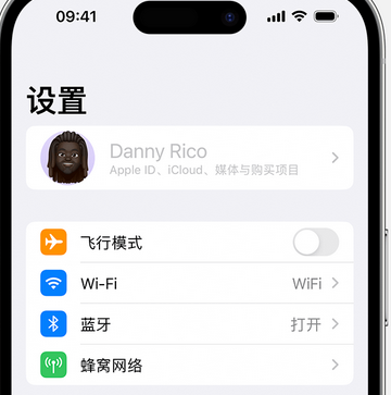 琼结appleID维修服务iPhone设置中Apple ID显示为灰色无法使用