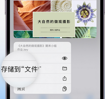 琼结apple维修中心分享iPhone文件应用中存储和找到下载文件