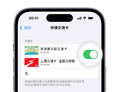 琼结apple维修点分享iPhone上更换Apple Pay快捷交通卡手绘卡面 