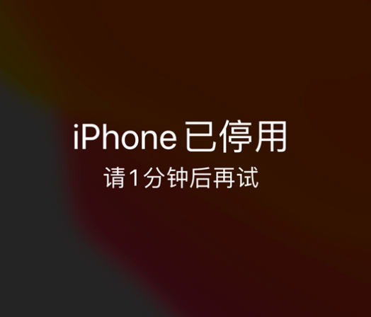 琼结苹果手机维修分享:iPhone 显示“不可用”或“已停用”怎么办？还能保留数据吗？ 