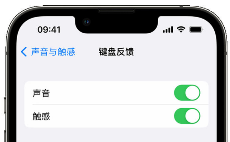 琼结苹果手机维修分享iPhone 14触感键盘使用方法 