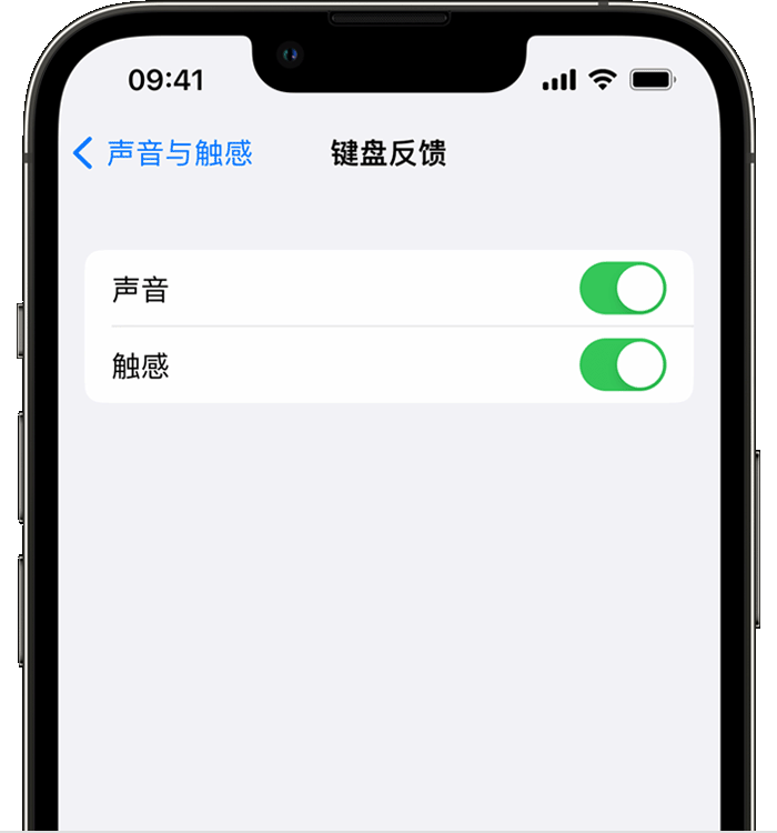 琼结苹果14维修店分享如何在 iPhone 14 机型中使用触感键盘 