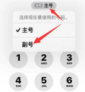 琼结苹果14维修店分享iPhone 14 Pro Max使用副卡打电话的方法 