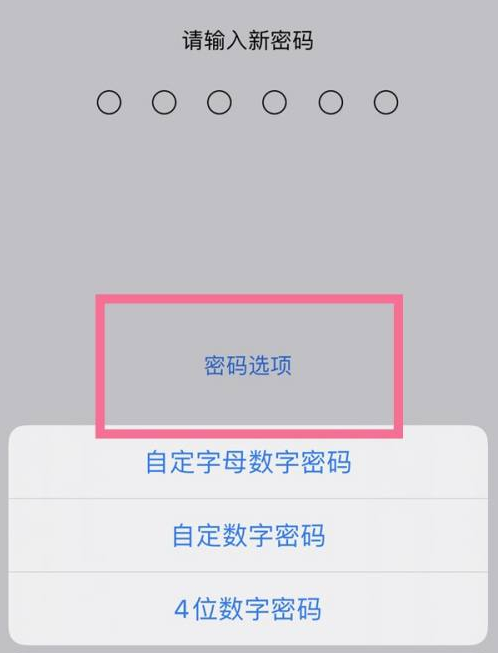 琼结苹果14维修分享iPhone 14plus设置密码的方法 