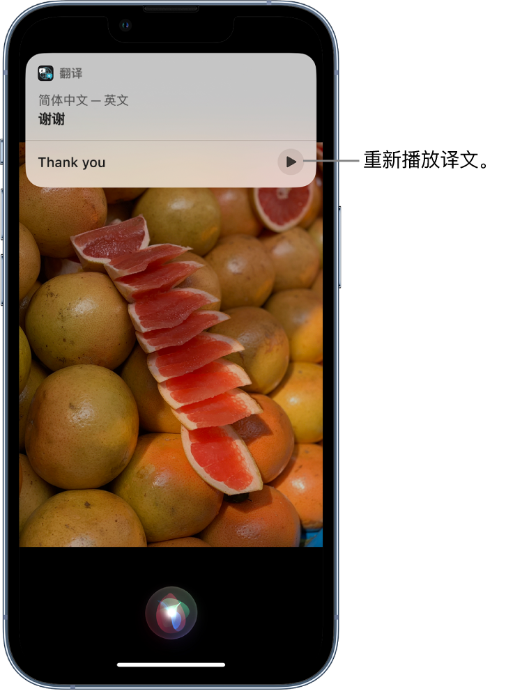 琼结苹果14维修分享 iPhone 14 机型中使用 Siri：了解 Siri 能帮你做什么 