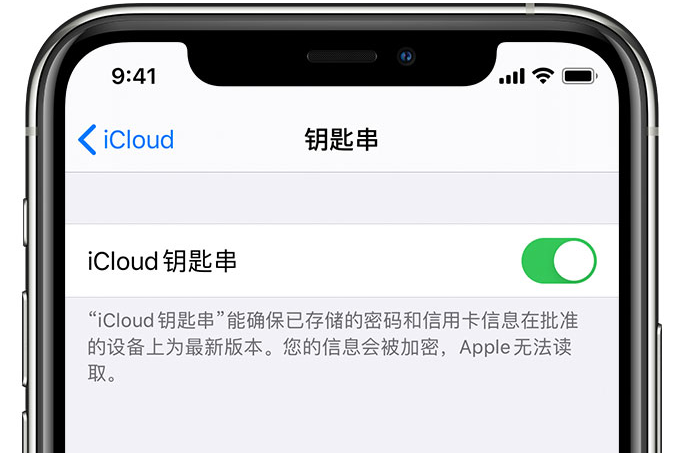 琼结苹果手机维修分享在 iPhone 上开启 iCloud 钥匙串之后会储存哪些信息 