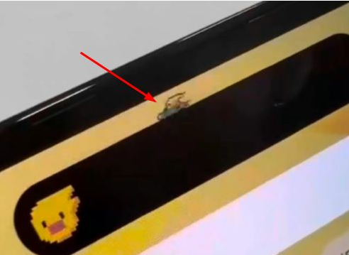 琼结苹果14维修分享iPhone 14 Pro Max灵动岛怎么养宠物 