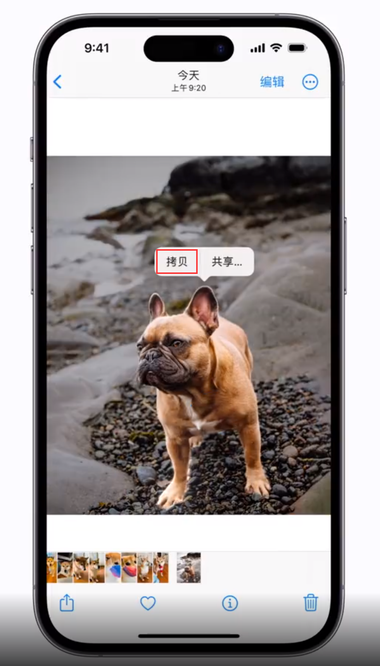 琼结苹果手机维修分享 iOS 16 自带一键抠图功能 