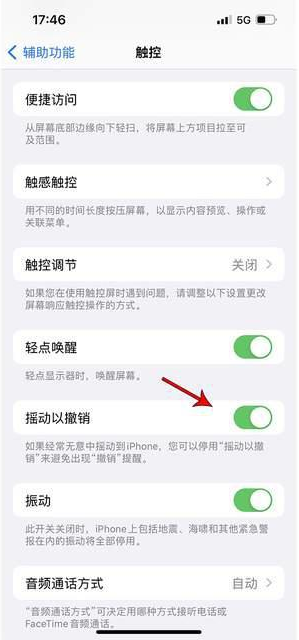 琼结苹果手机维修分享iPhone手机如何设置摇一摇删除文字 