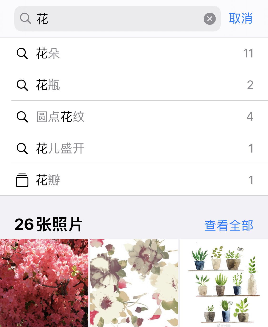 琼结苹果手机维修分享iPhone 小技巧 